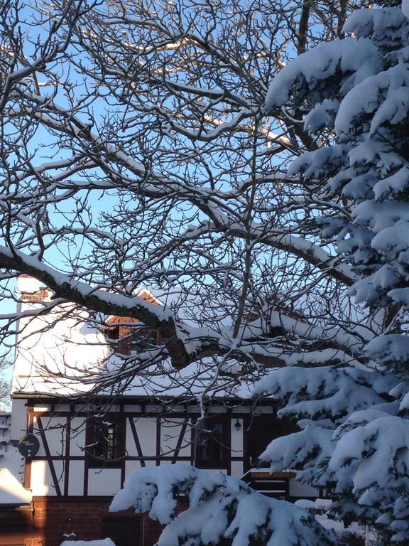 Ferienhaus Annabell Villa Weisbach  Bagian luar foto